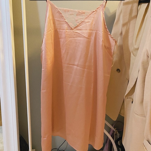 Pink Slip Dress - Picture 2 of 2